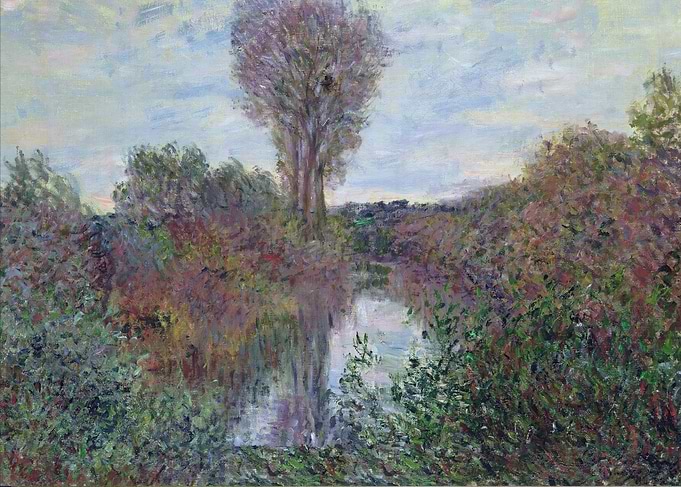The Small Arm of the Seine