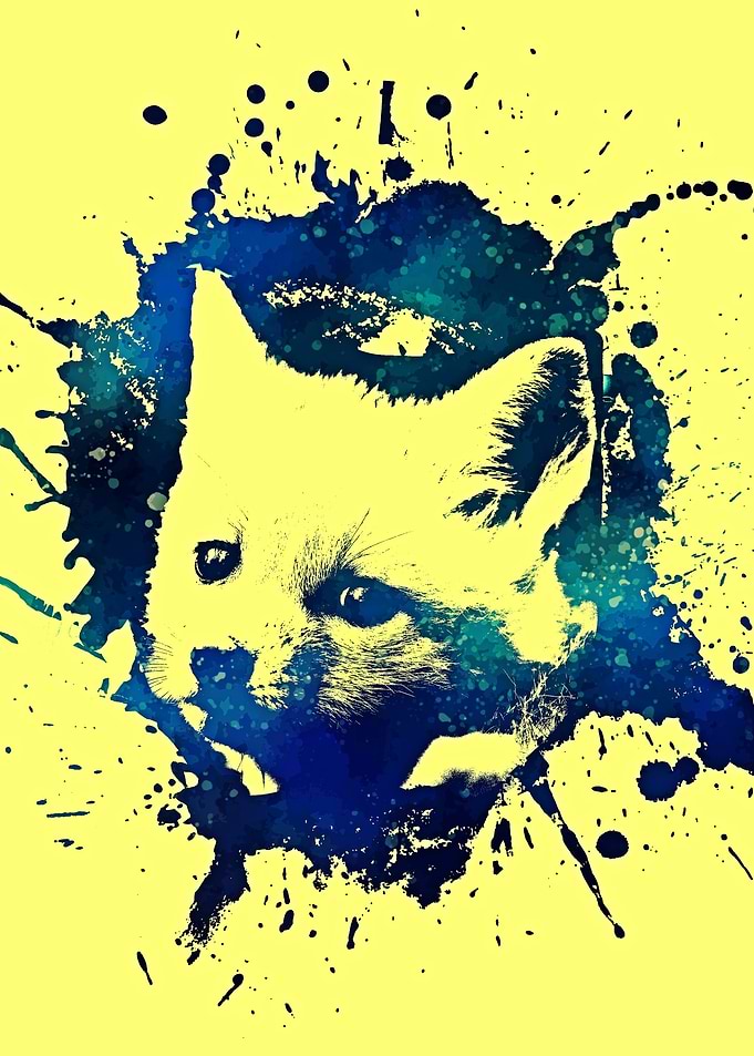 sad fox