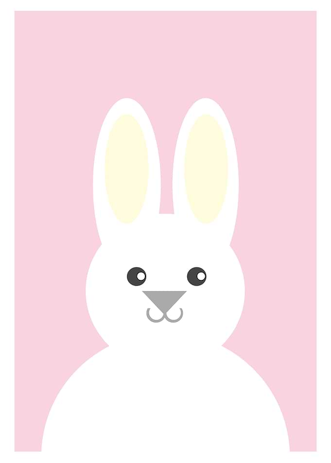 White Bunny On Pink