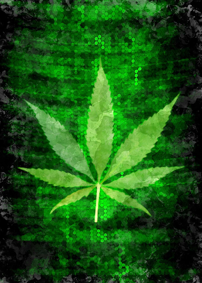 Green Free 2