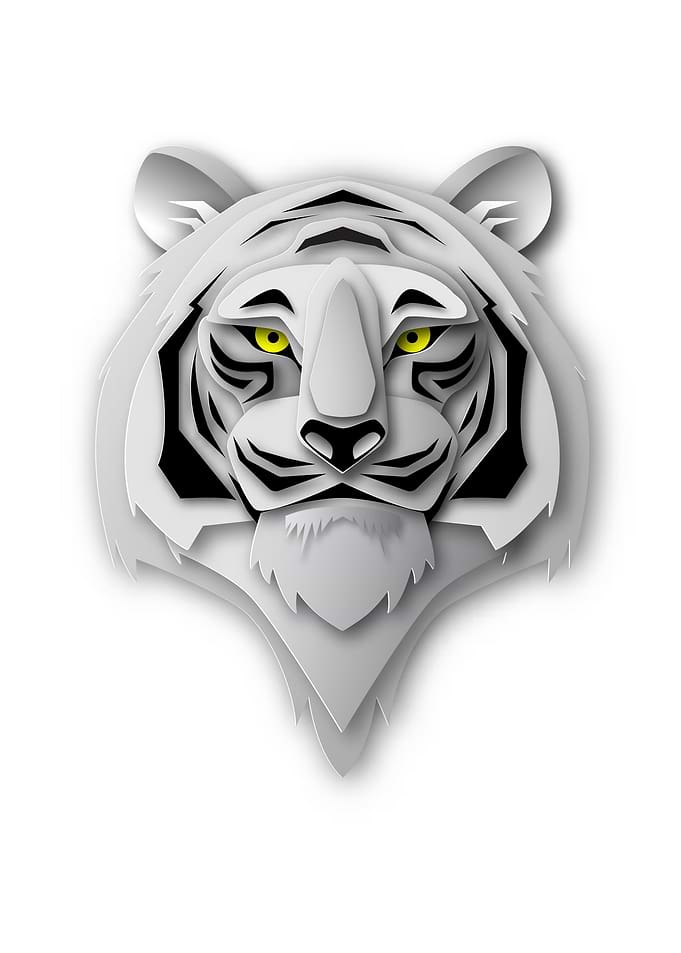 Head of the TIGER