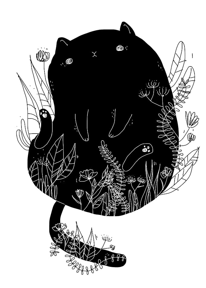 cat