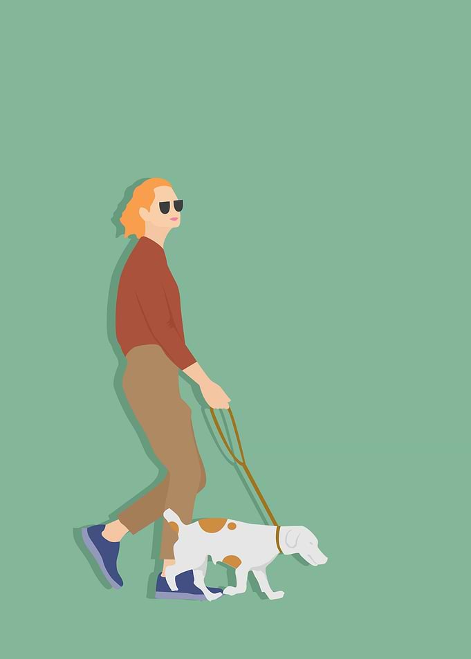 walking carrying a dog