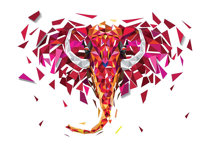 ELEPHANT Geometric