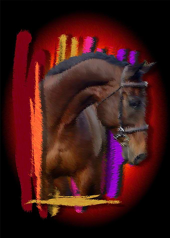 cavalo perfil traces