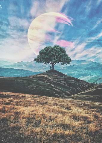 Wandering in my dreams