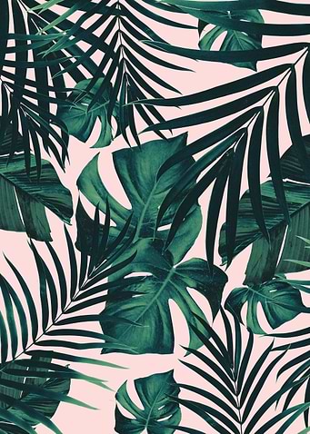 Tropical Jungle Leaves 13