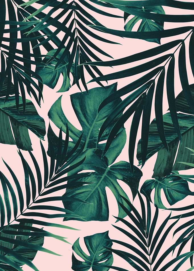 Tropical Jungle Leaves 13