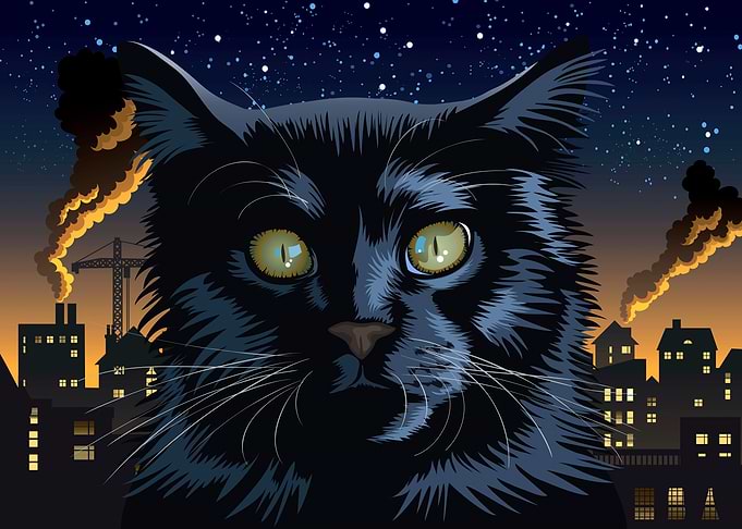 Cat about Town