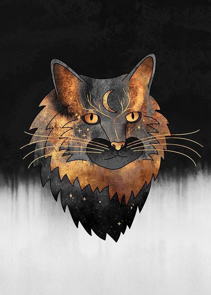 Moon Cat