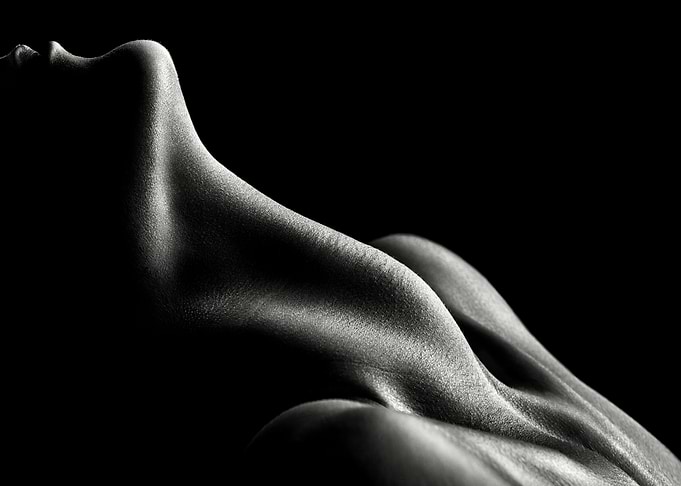 Figurative Body Parts 3