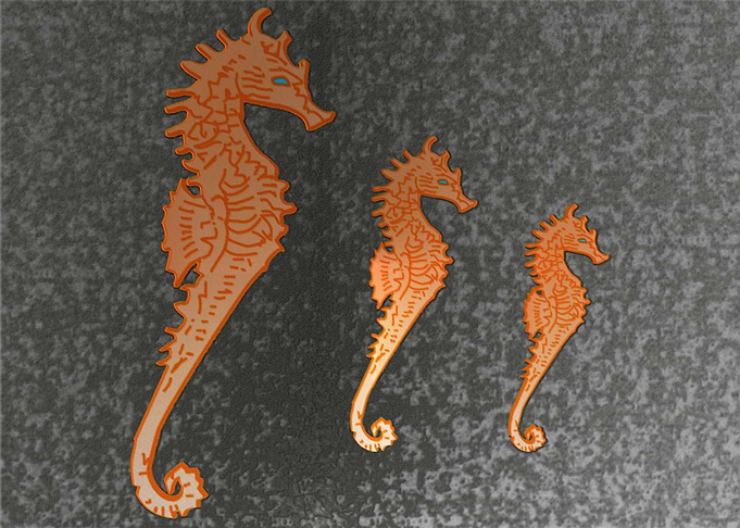 Seahorse Kingdom