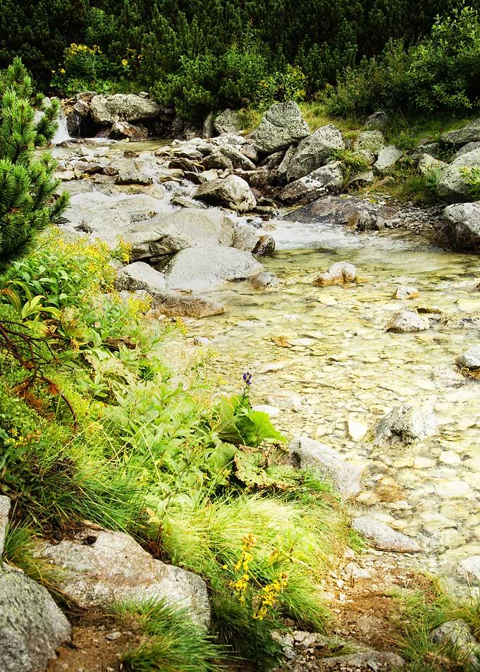 Mountain rocky river