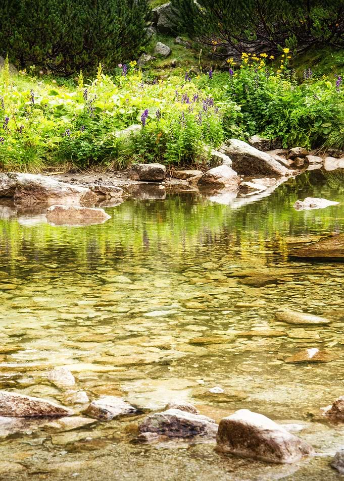 Mountain rocky river