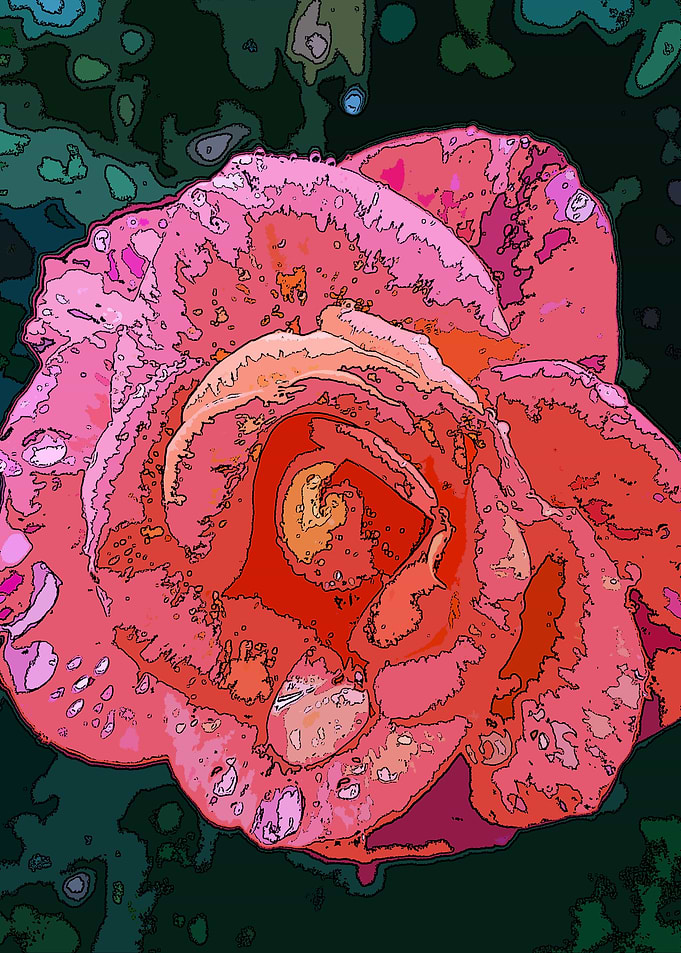 Rose Posterized 2