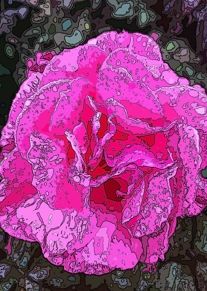Rose Posterized 3