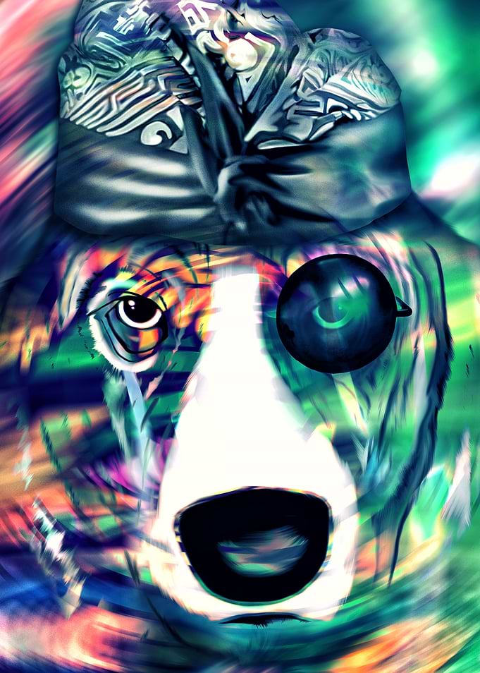 Dog Head Art Colorful