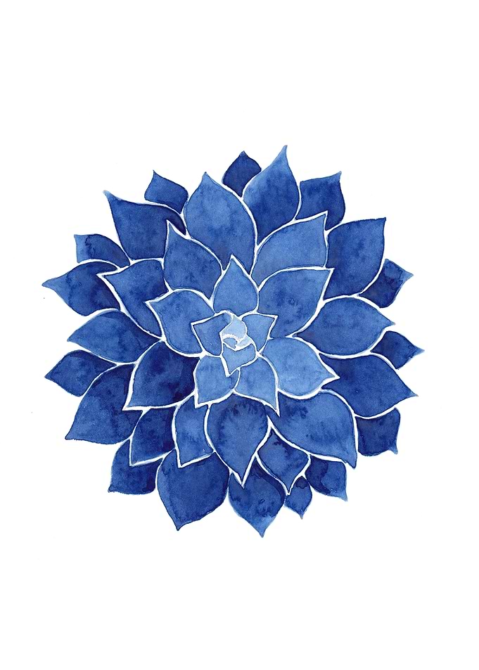 Blue Succulent Painting