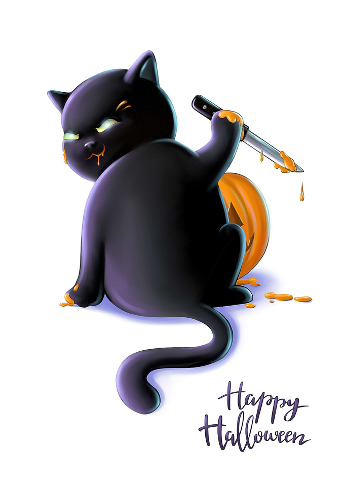 Cute black cat