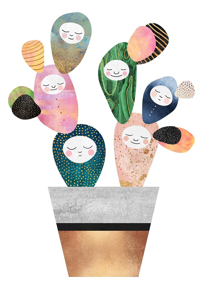 Sleepy Cactus