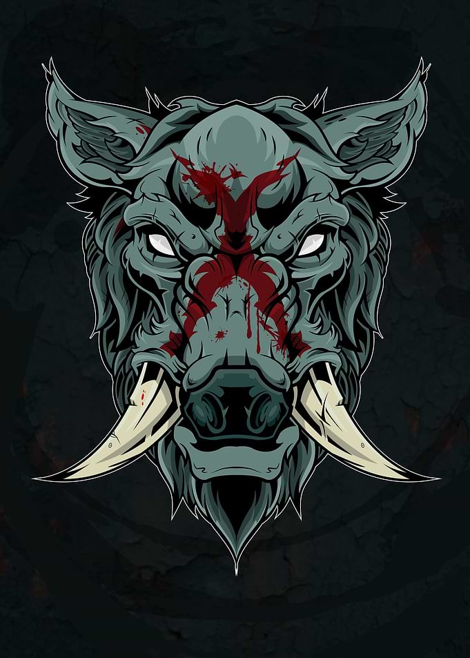 Boar