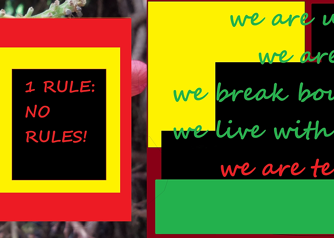 NO RULES