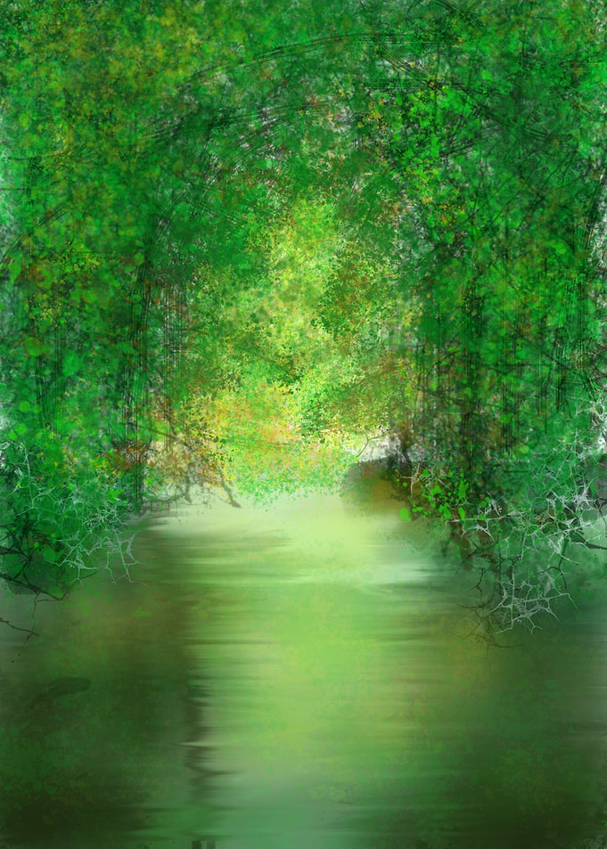 Serene Forest Creek