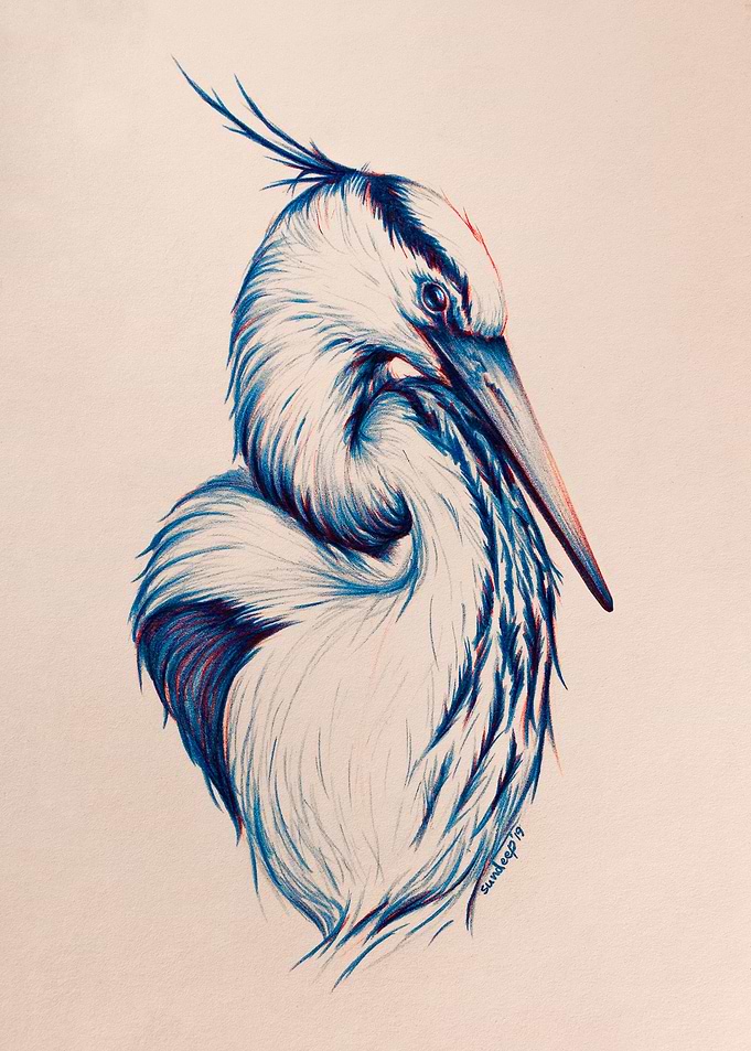 Heron
