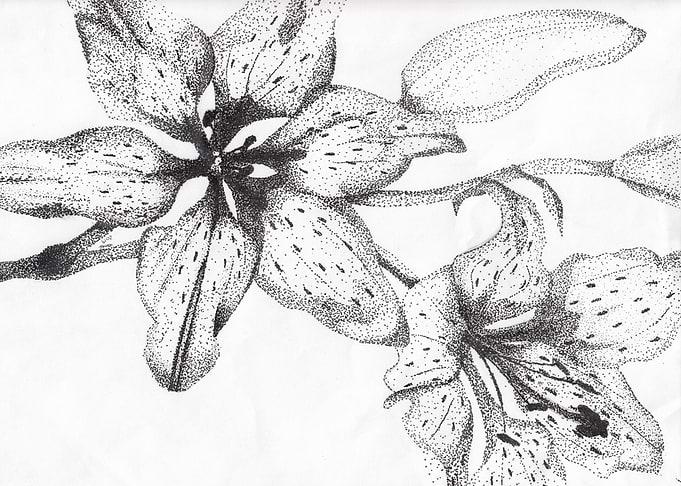 Dissolved beauty