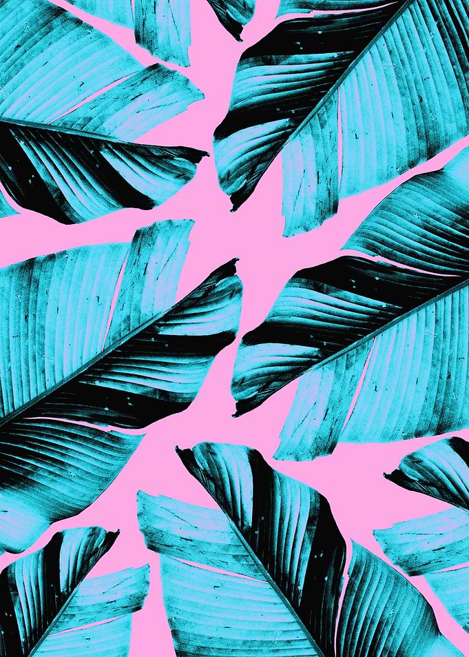 Tropical Banana Leaves 3