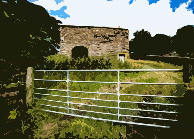 Born In A Barn