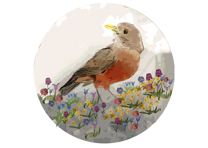 garden thrush