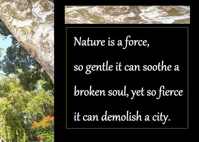 NATURE