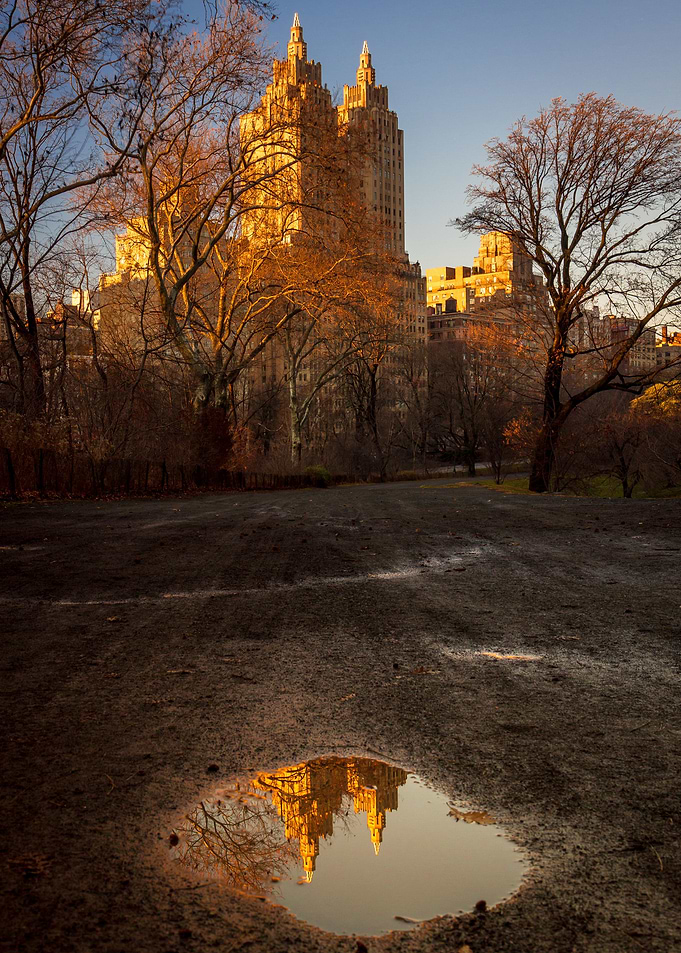 Central Park Reflection