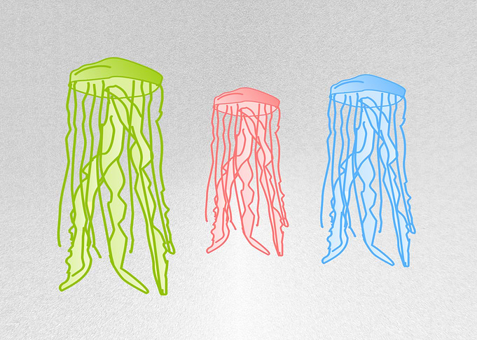 Cnidarians