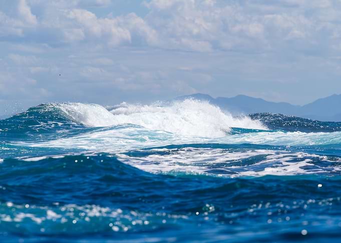 Waves on