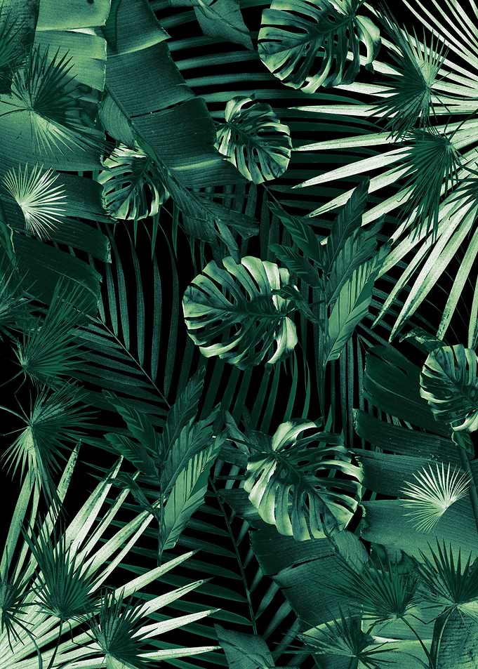 Jungle Night Siesta 1