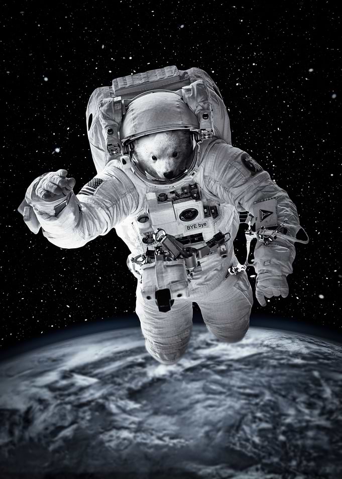 snow bear on space poster