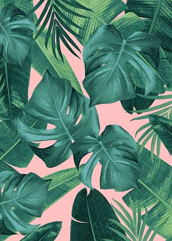 Tropical Summer Jungle 1