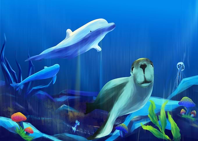 Seal dolphin and jellyfish