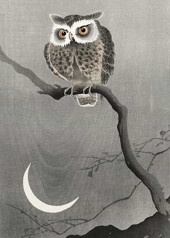 Owl and Moon Japanese Art