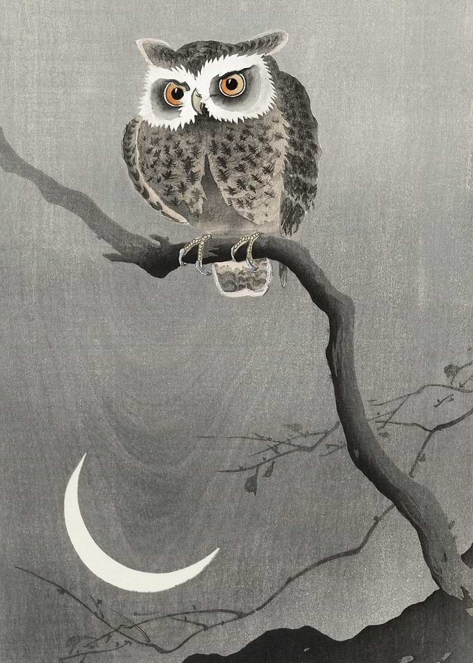 Owl and Moon Japanese Art