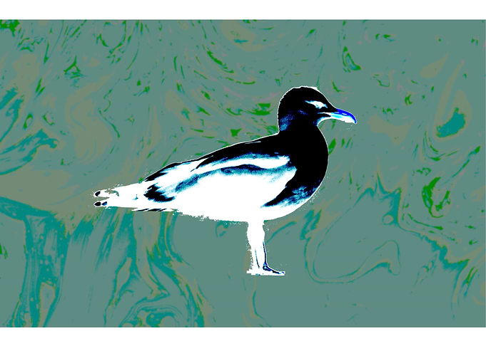 Majestueux