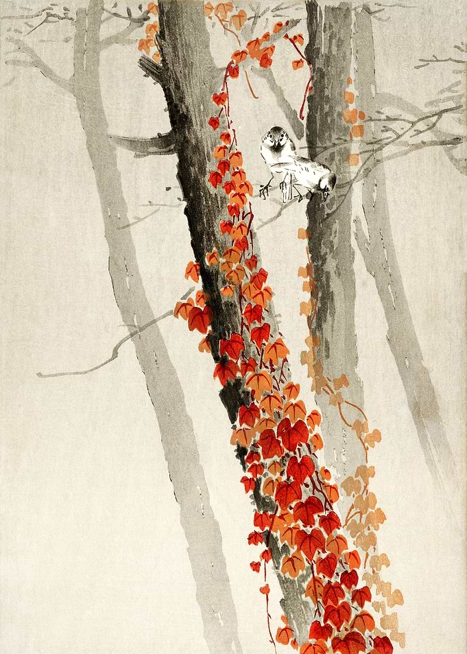 Birds and red Ivy woodcut