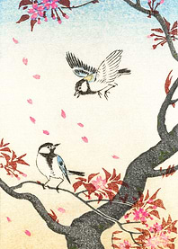 Birds on a blossomed tree
