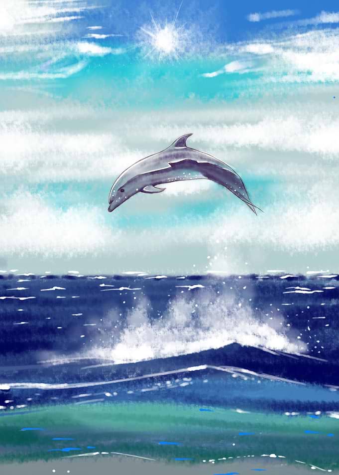 Dolphin jump from water