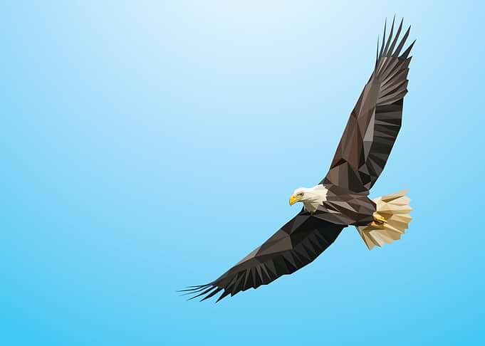 Flying Eagle