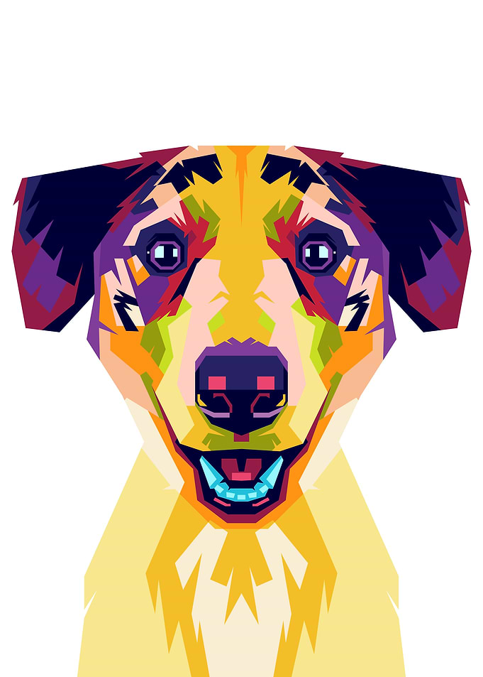lovely dog