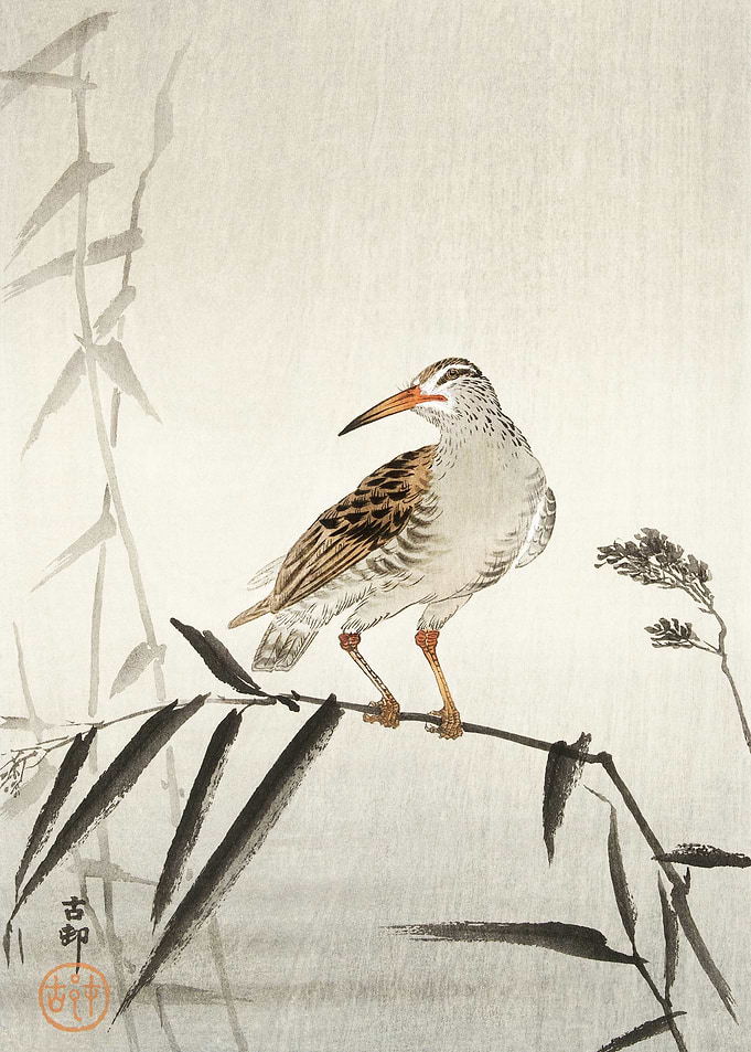 Bird on a bamboo branch
