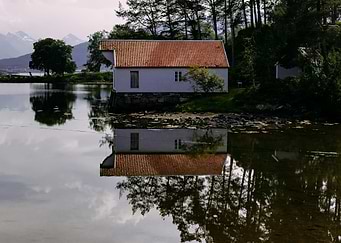 Orange Reflection